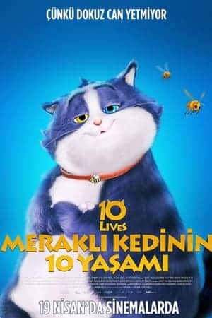 Meraklı Kedinin 10 Yaşamı İzle