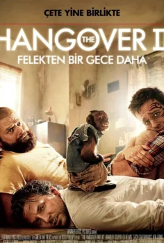 Felekten Bir Gece 2 İzle